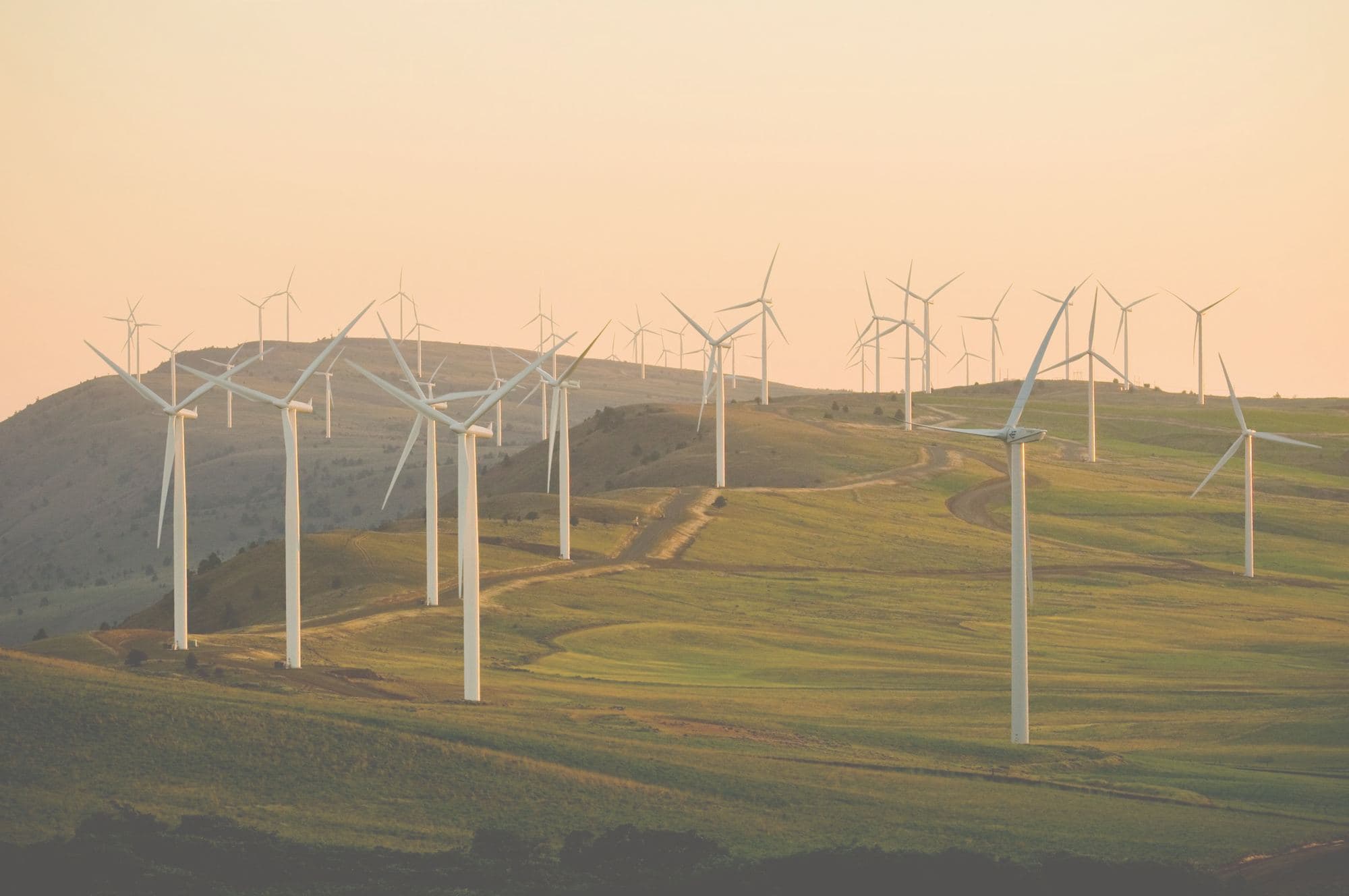 Rows of wind turbines standing across open rolling hills at sunset, a service road winding between them.